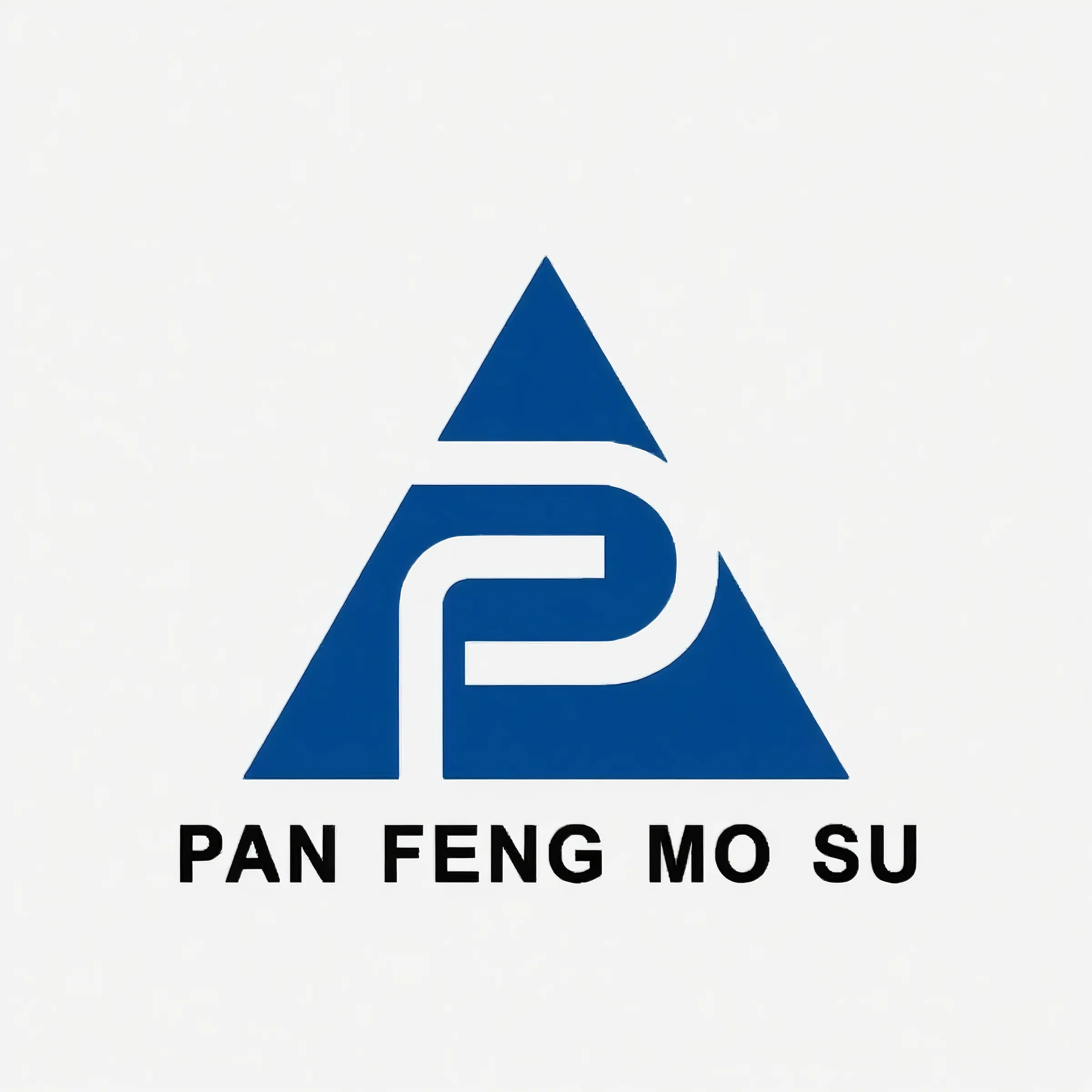 NINGBO PANFENG MOLDE PLÁSTICO CO. LTD