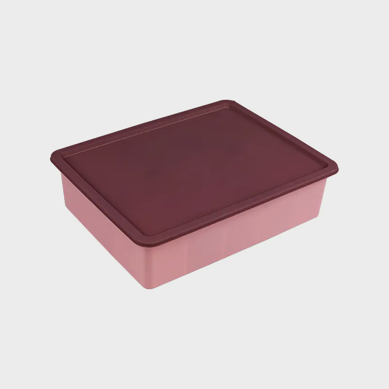 Inicio Dormitorio Calcetines de ropa interior Caja de almacenamiento de plástico con tapa