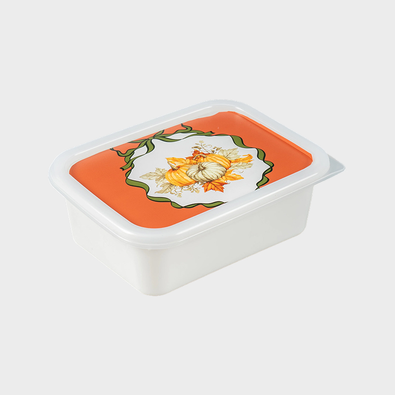 Caja de almacenamiento de plástico PFB067
